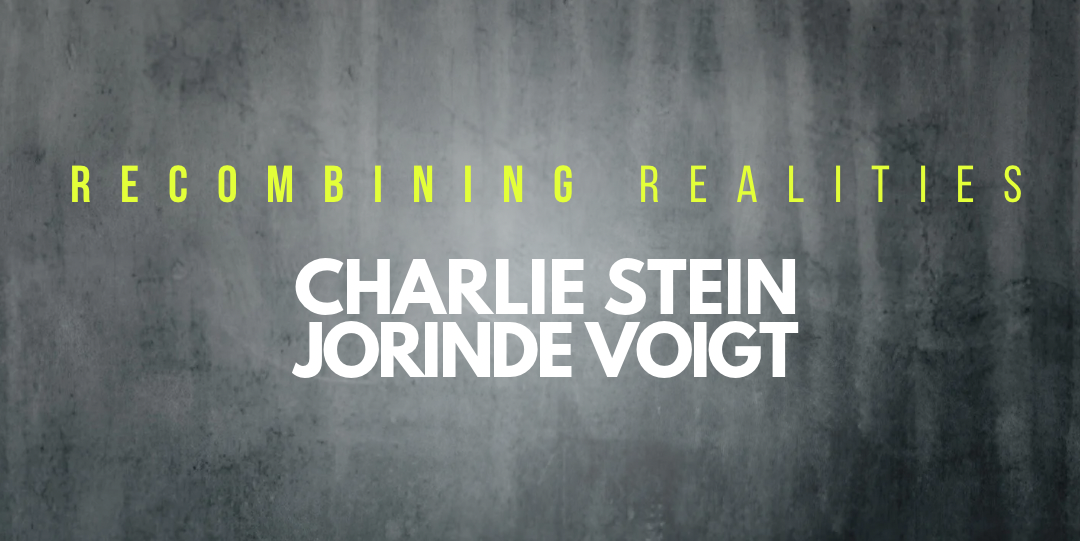 RECOMBINING REALITIES: Charlie Stein and Jorinde Voigt